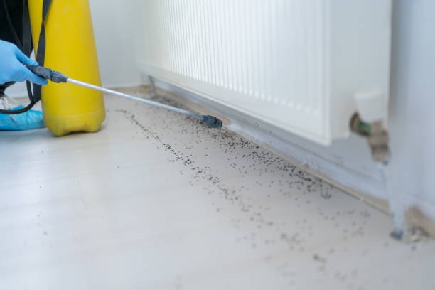 Best Pest Removal Services  in Camilla, GA